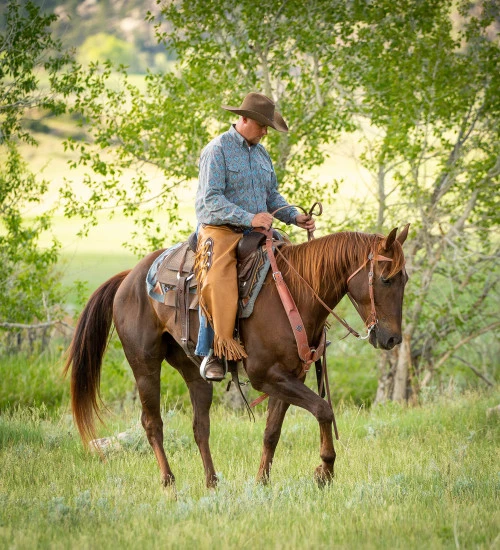 Weaver Leather Weaver Basketweave Yoke Chinks 2 Weaver Leather Weaver Basketweave Yoke Chinks - Image 2