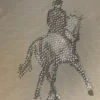 Chestnut Bay Crystal Dressage Top