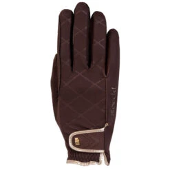 Roeckl Sports Roeckl Julia Winter Gloves 6 Roeckl Sports Roeckl Julia Winter Gloves -Horseback Riding Clothing Store julia glove mocha brown roeckl 31690.1638394061