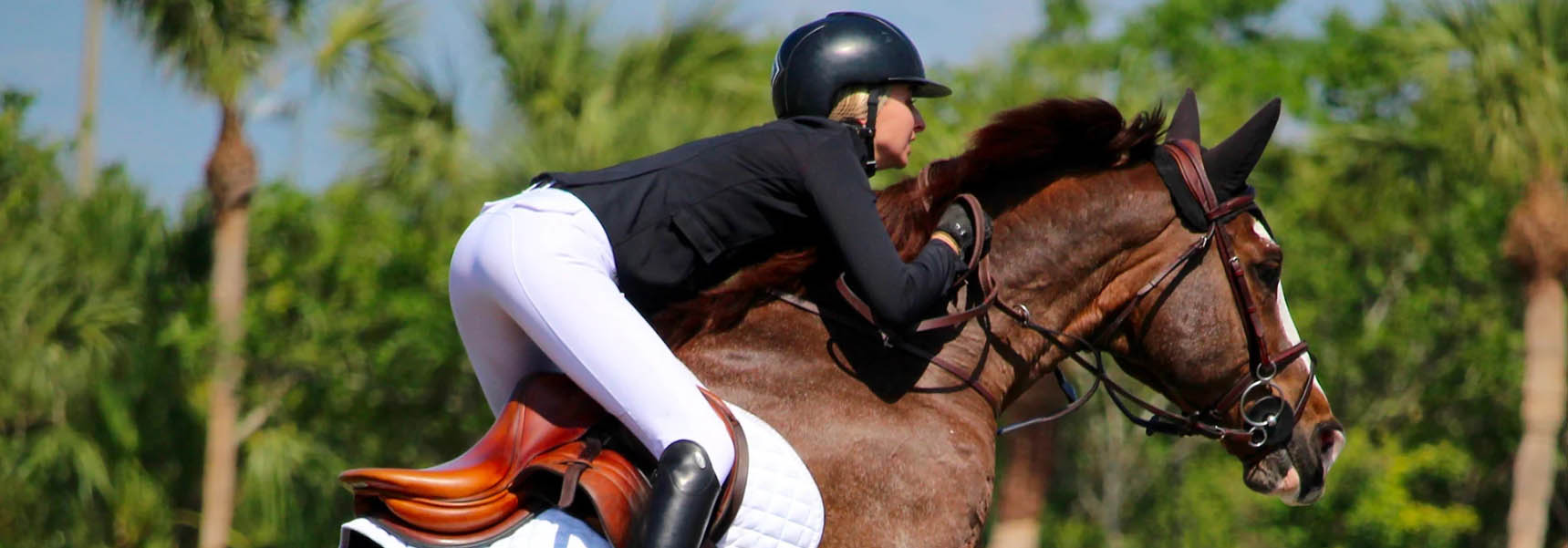 Horseback Riding Clothing Store -Horseback Riding Clothing Store FGHFGHDRFY